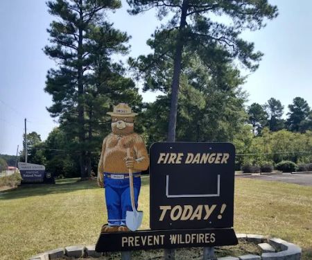 US Forestry Department