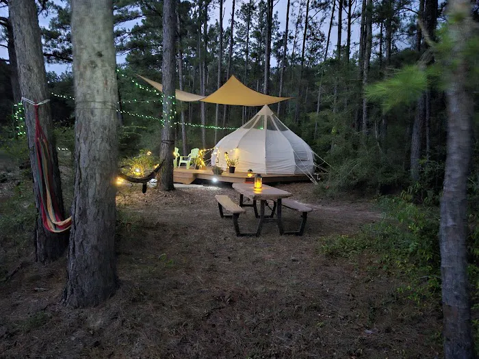 Wild Wood Haven Picture 6