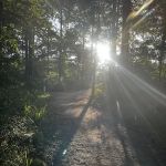 Camp Strake Campsite 19