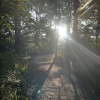 Camp Strake Campsite 19 ico
