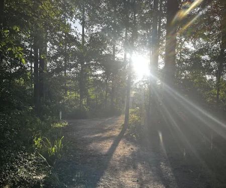 Camp Strake Campsite 19