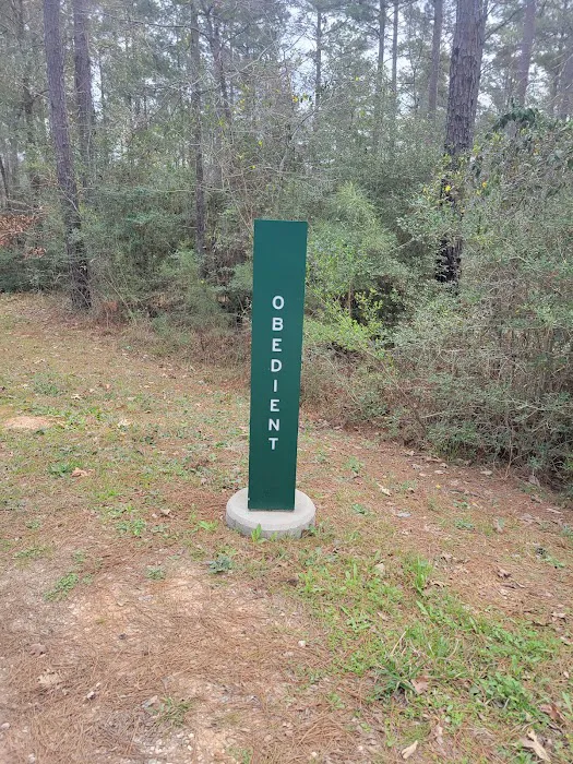 Camp Strake Campsite 19 Picture 3