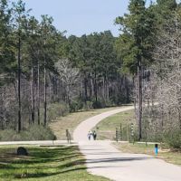 Camp Strake Campsite 18 ico