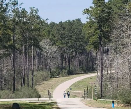 Camp Strake Campsite 18