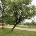 Fessenden Park District Campground