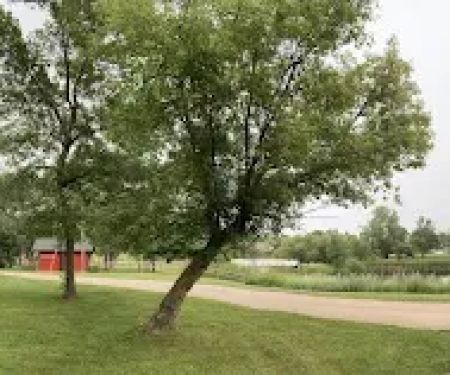 Fessenden Park District Campground