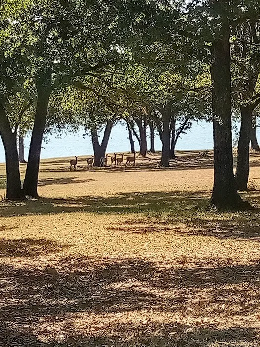 LH Campground, Fishing, Pavillion Picture 9