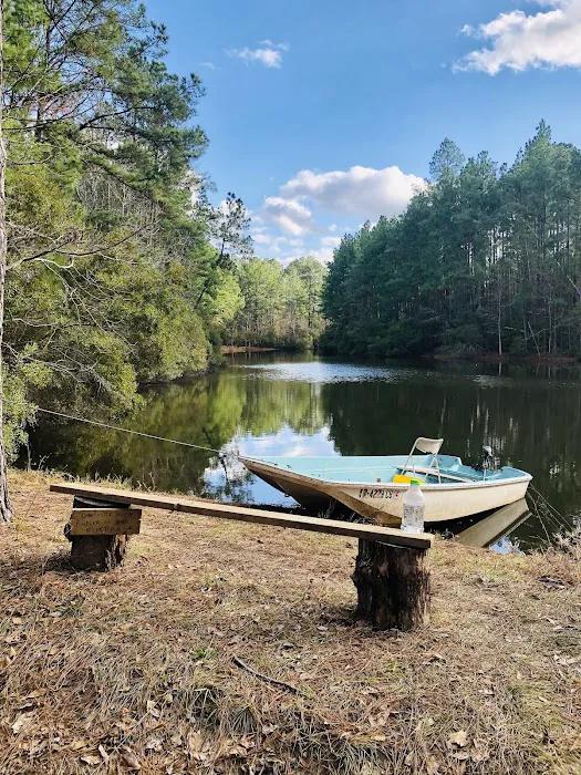 Shabbat Retreat | Glamping Park & Event Venue Picture 10