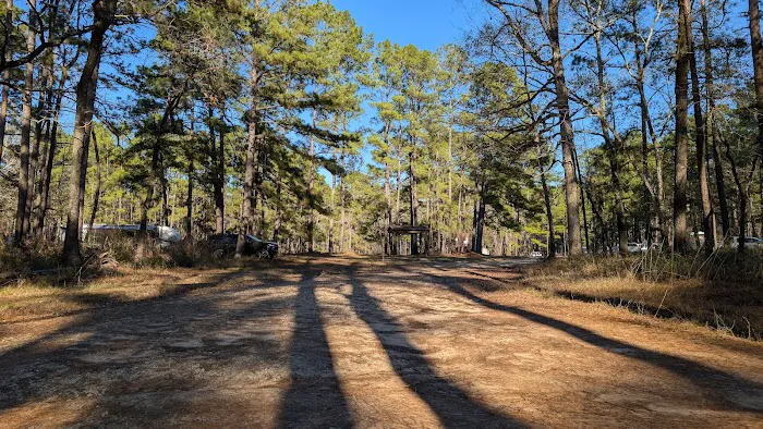 Big Woods Hunters Camp Picture 3