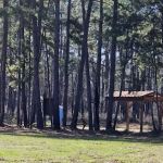 Big Woods Hunters Camp