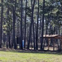 Big Woods Hunters Camp ico