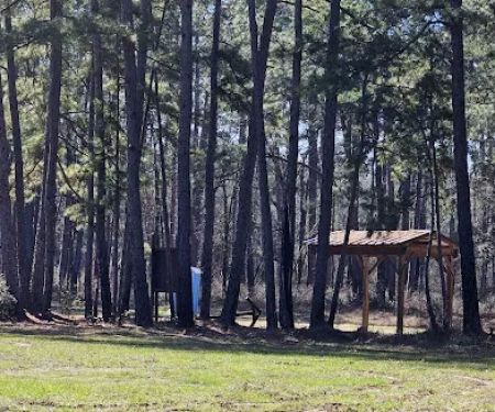 Big Woods Hunters Camp