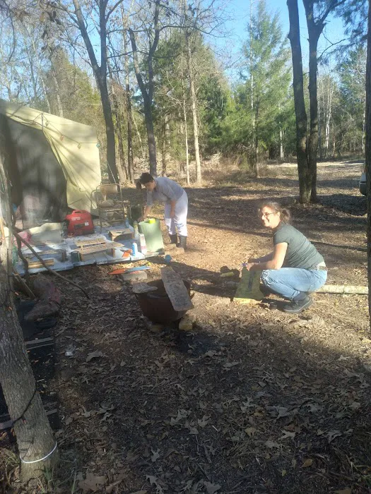 Woodcock Woodlands Picture 6