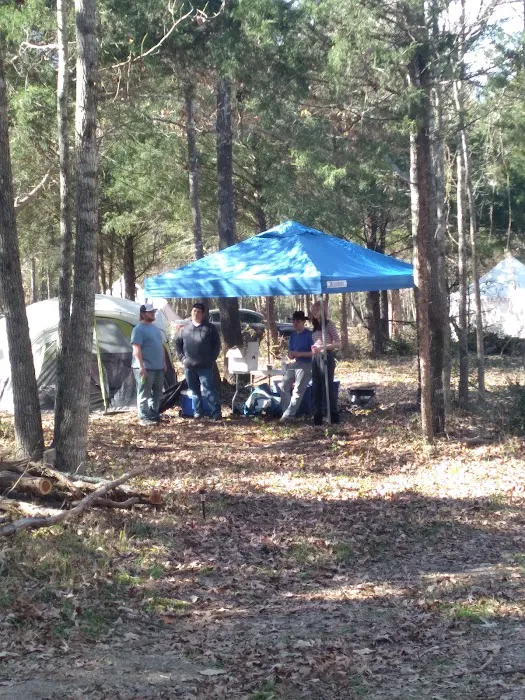 Woodcock Woodlands Picture 4