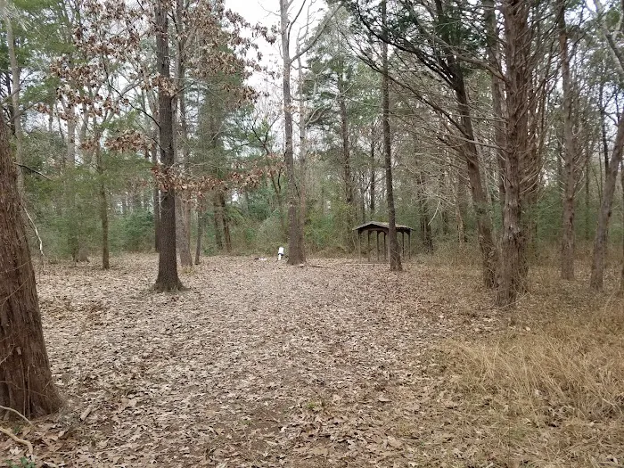 BSA Camp Meisenbach Picture 6