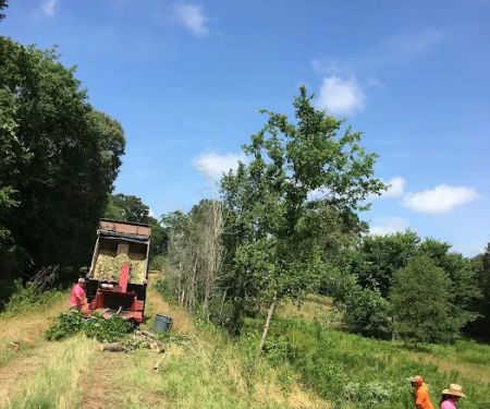 Prairie Dog Colony Camp Site