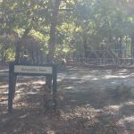 Armadillo Den Camp Site