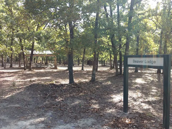 Beaver Lodge Camp Site Picture 1