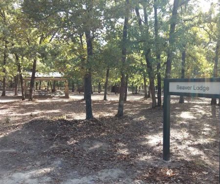 Beaver Lodge Camp Site