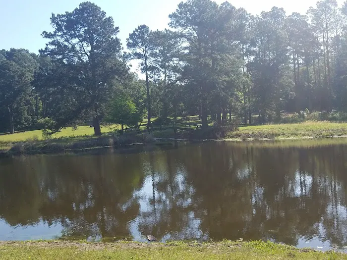 Black Bear Camp Site Picture 4