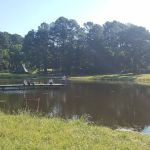 Black Bear Camp Site