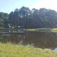 Black Bear Camp Site ico