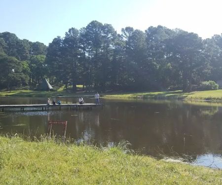 Black Bear Camp Site