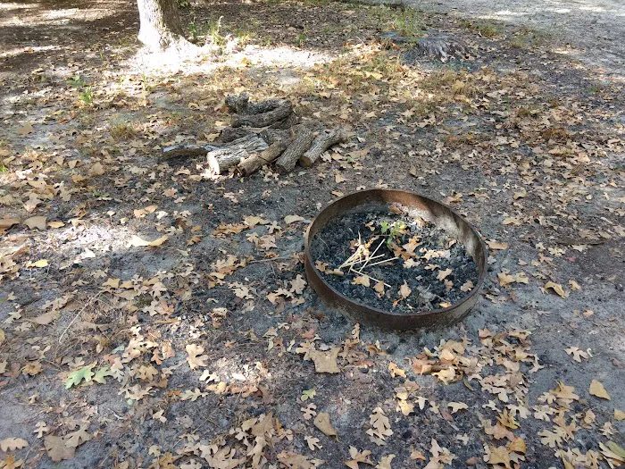 Black Bear Camp Site Picture 8