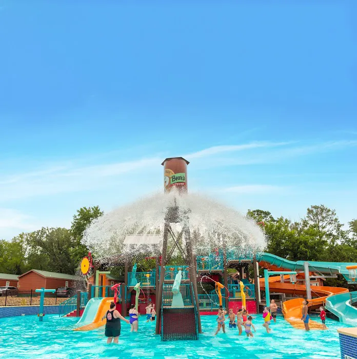 Yogi Bear's Jellystone Park Camp-Resort: Tyler, TX Picture 8