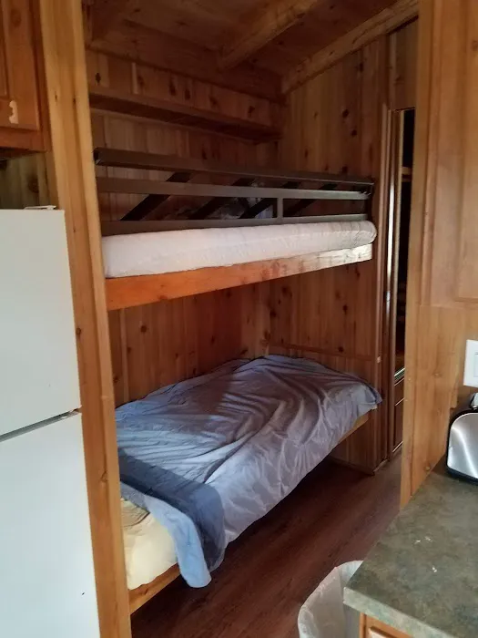 Yogi Bear's Jellystone Park Camp-Resort: Tyler, TX Picture 4