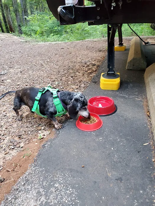 Cedar Point Campgrounds Picture 4