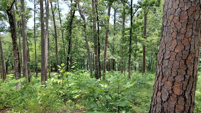 Cedar Point Campgrounds Picture 7