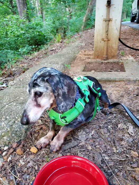 Cedar Point Campgrounds Picture 5
