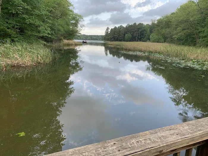 Tyler State Park Big Pine Campgrounds Picture 2