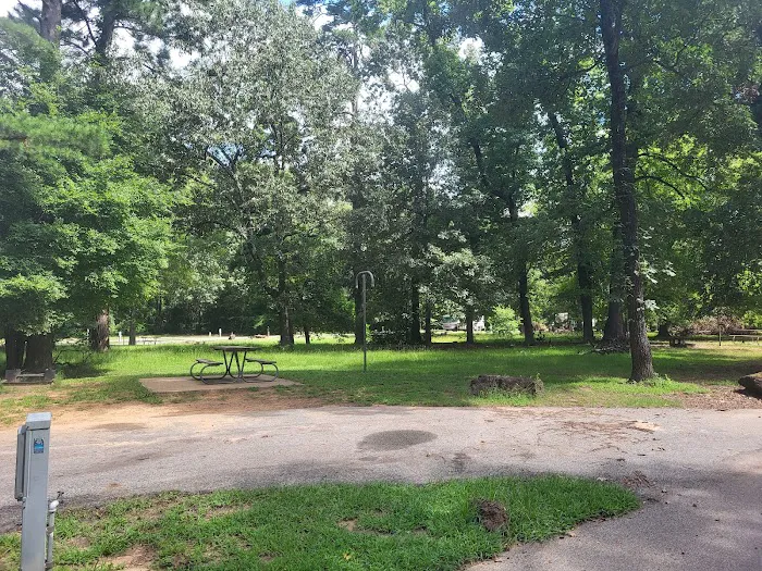 Tyler State Park Big Pine Campgrounds Picture 10