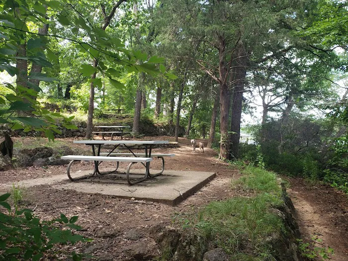 Tyler State Park Big Pine Campgrounds Picture 7