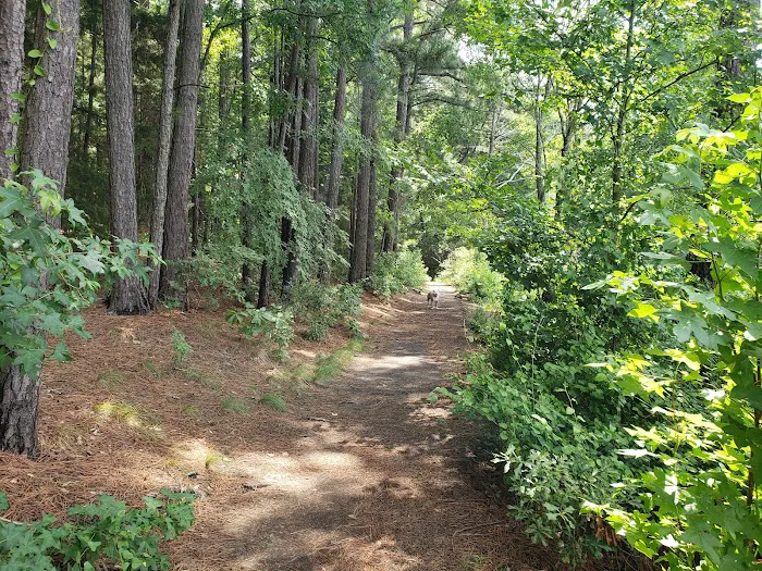Tyler State Park Big Pine Campgrounds Picture 6