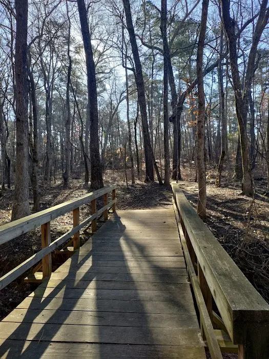 Tyler State Park Big Pine Campgrounds Picture 1