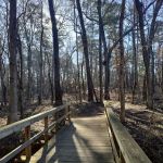 Tyler State Park Big Pine Campgrounds