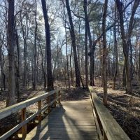 Tyler State Park Big Pine Campgrounds ico