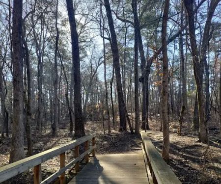 Tyler State Park Big Pine Campgrounds