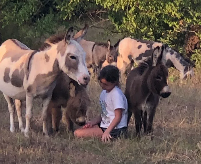Kaleidoscope Ranch Picture 9
