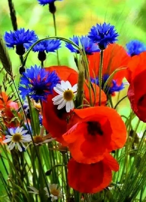 Kason Kamp RV Park Picture 2