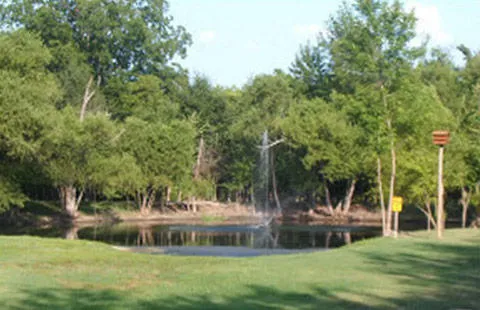 Mount Pleasant KOA Journey Picture 6