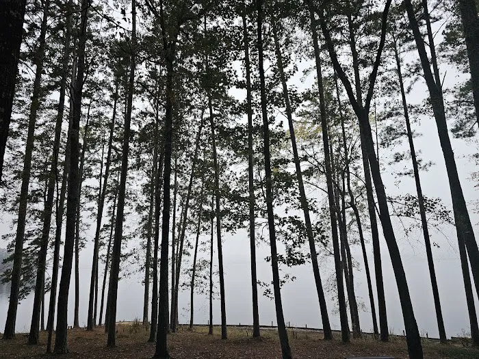 Lake Claiborne Cabins Picture 6
