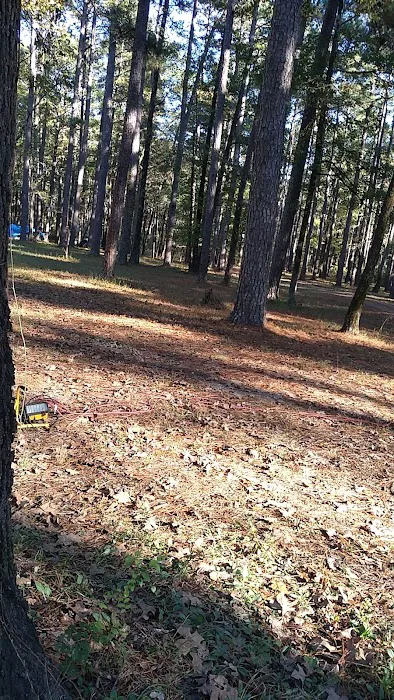 Bucktail Camp, Kisatche National Forest Picture 1