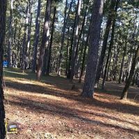 Bucktail Camp, Kisatche National Forest ico