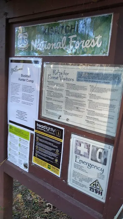 Bucktail Camp, Kisatche National Forest Picture 2