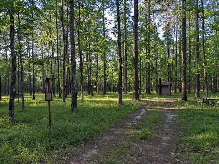 TurkeyTrot Campground Picture 8