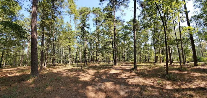 TurkeyTrot Campground Picture 5